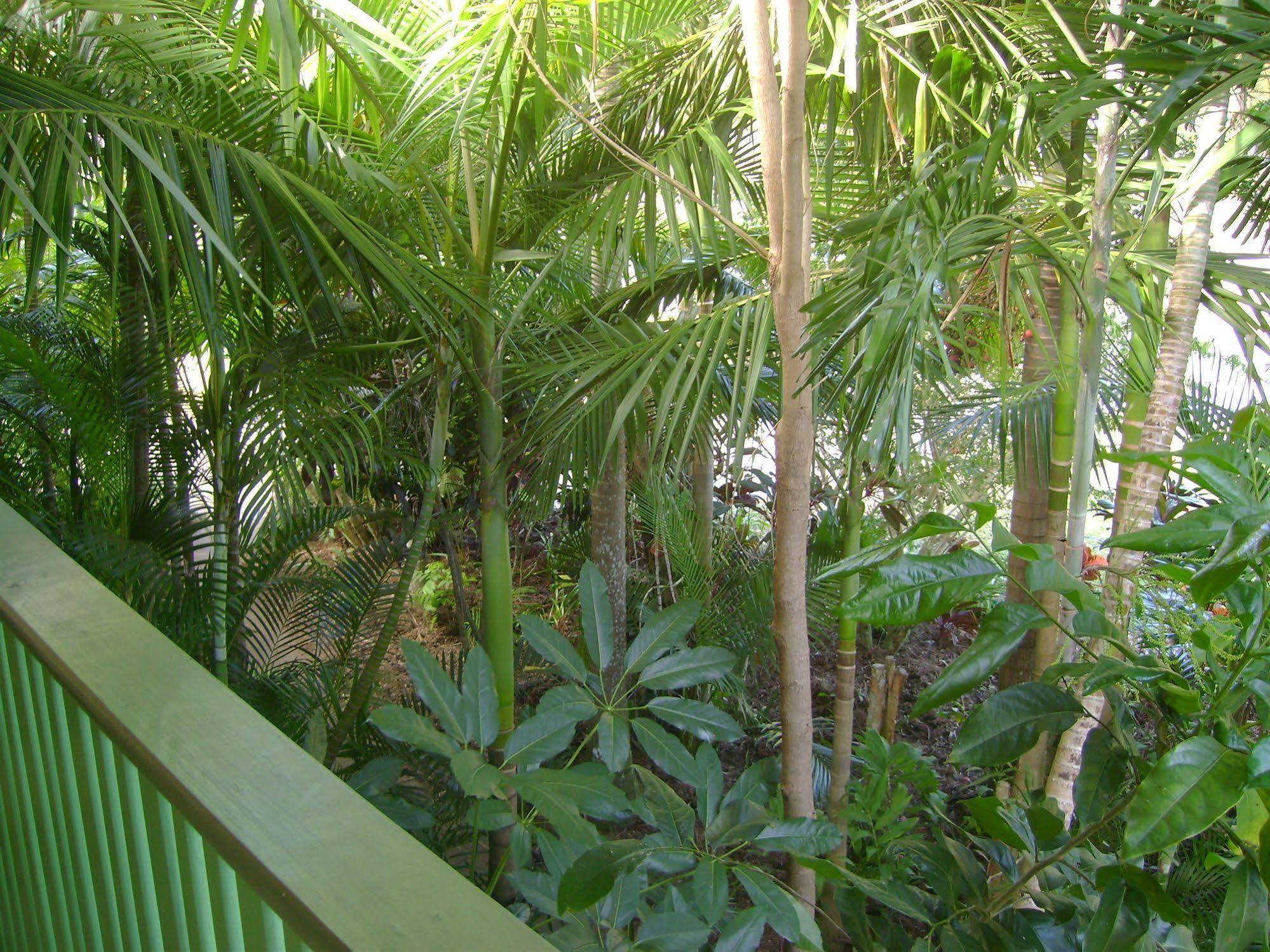 Tropical Nites Holiday Townhouses Port Douglas Luaran gambar